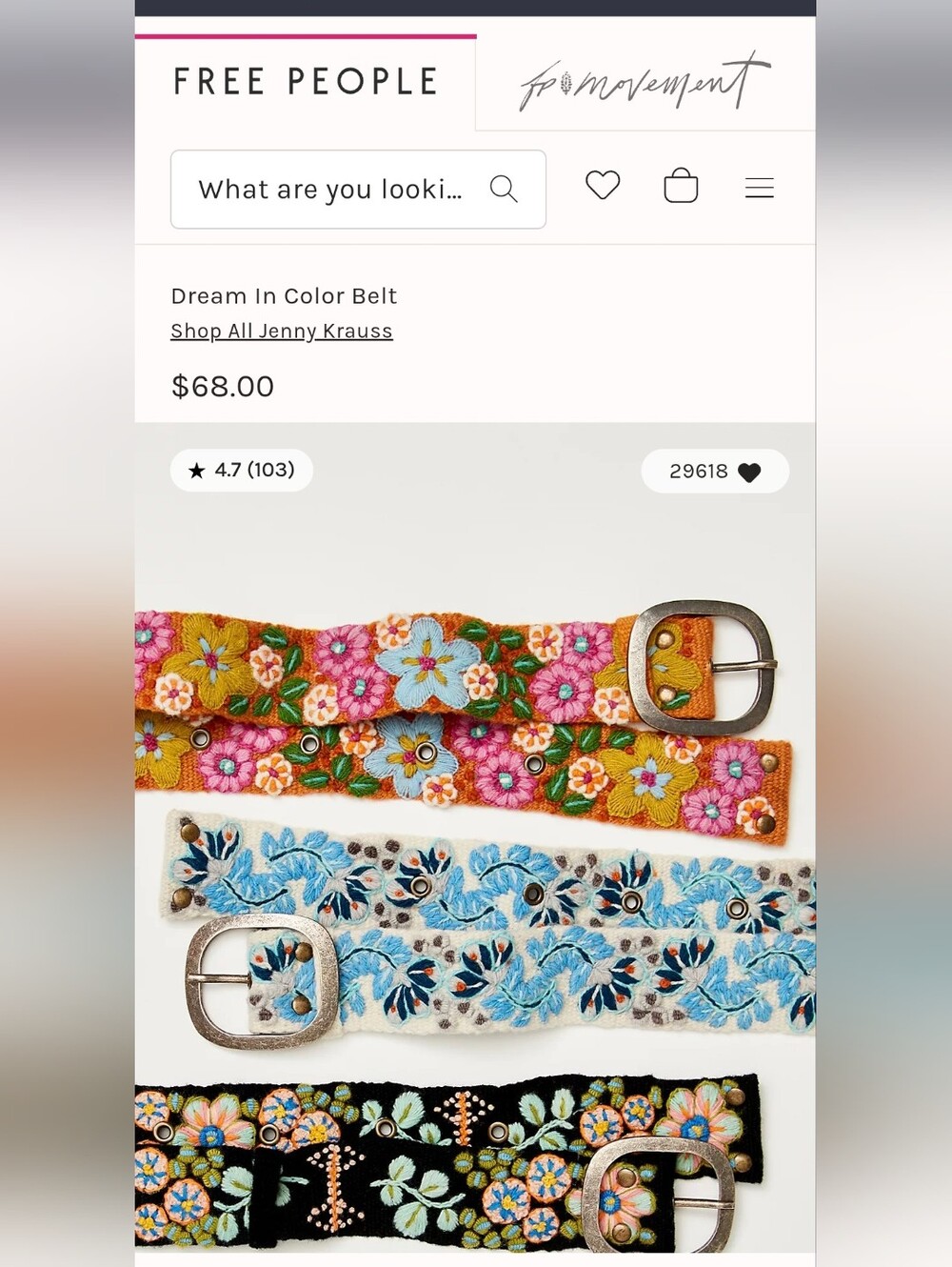 Free People Embroidered Belt🌸🏵🌺🌼🌻 - Picture 2 of 8